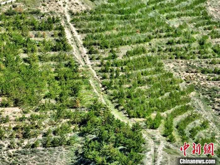 航拍建行青海省分行綠化區(qū)?！∑钤鲚?攝