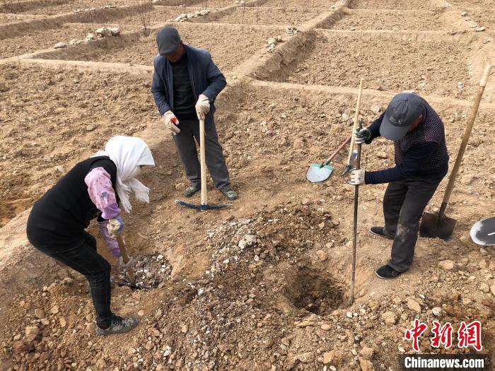 資料圖為建行青海省分行綠化區(qū)施工隊隊員處理亂石?！〗ㄐ星嗪Ｊ》中泄﹫D