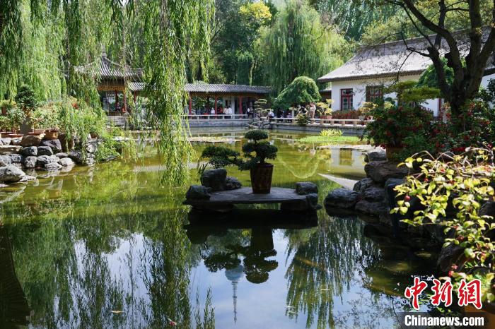 圖為西寧園林植物園秋日風(fēng)景別有韻味?！●R銘言 攝