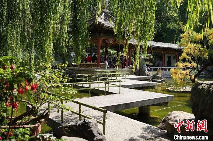 圖為西寧園林植物園秋日風(fēng)景別有韻味。　馬銘言 攝