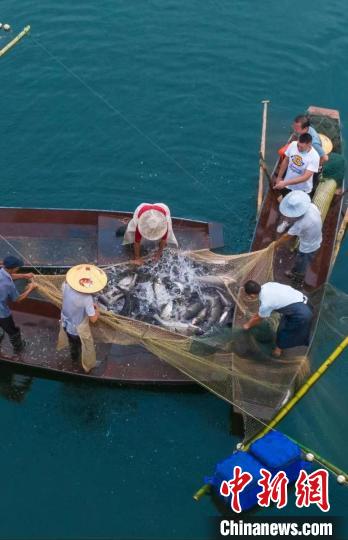 捕魚現(xiàn)場?！≈鬓k方供圖