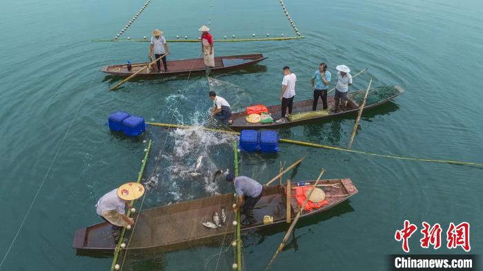捕魚現(xiàn)場?！≈鬓k方供圖