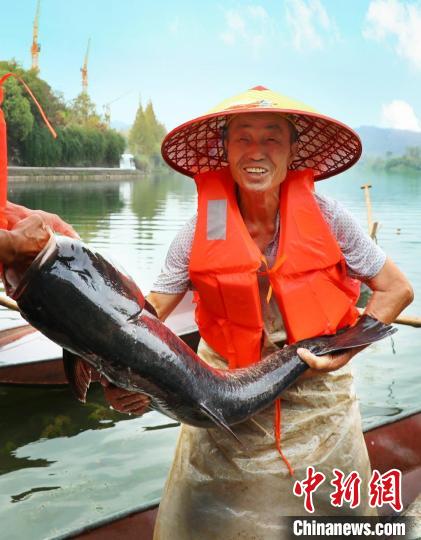 工作人員展示捕撈成果?！≈鬓k方供圖