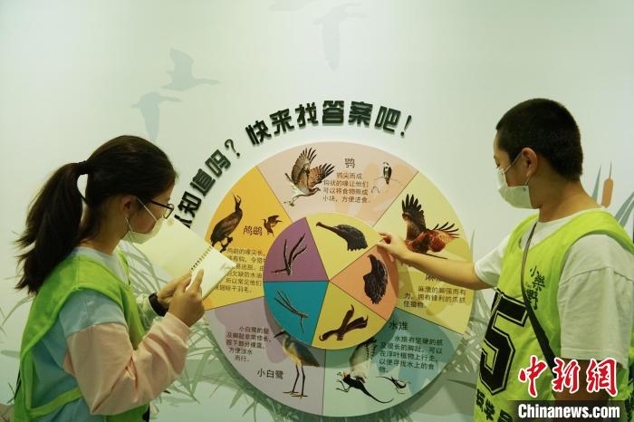 圖為小朋友在青海西寧湟水國家濕地公園科普館內(nèi)參觀學(xué)習(xí)。　馬銘言 攝