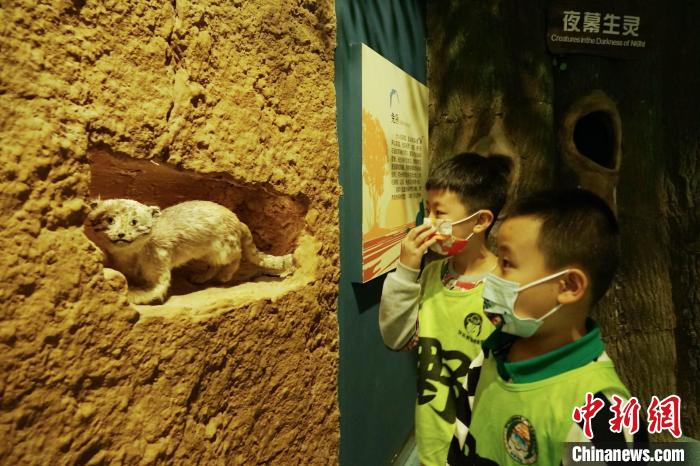 圖為小朋友在青海西寧湟水國家濕地公園科普館內(nèi)參觀學(xué)習(xí)。　馬銘言 攝