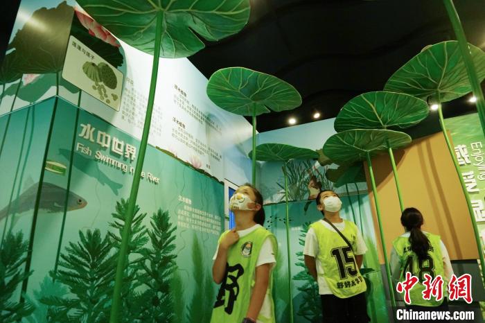 圖為小朋友在青海西寧湟水國家濕地公園科普館內(nèi)參觀學(xué)習(xí)。　馬銘言 攝