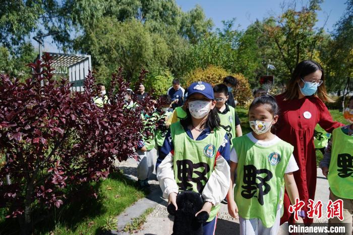 圖為小朋友在青海西寧湟水國家濕地公園內(nèi)認(rèn)識植物?！●R銘言 攝