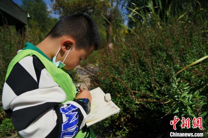 圖為小朋友在青海西寧湟水國家濕地公園內(nèi)認(rèn)識植物并進(jìn)行繪畫?！●R銘言 攝