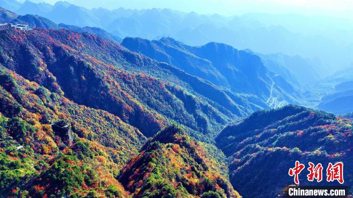 巴山大峽谷彩林迎來最佳觀賞期?！埰?攝