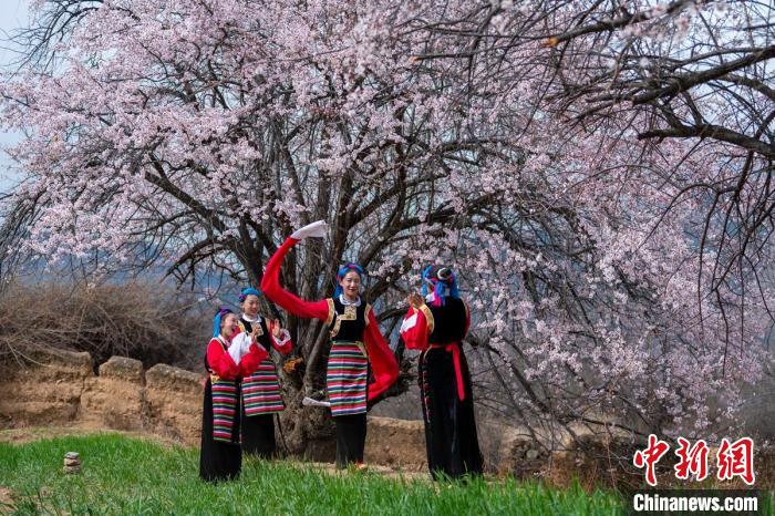 桃花樹(shù)下開(kāi)心玩耍的女孩們?！⒅铱?攝