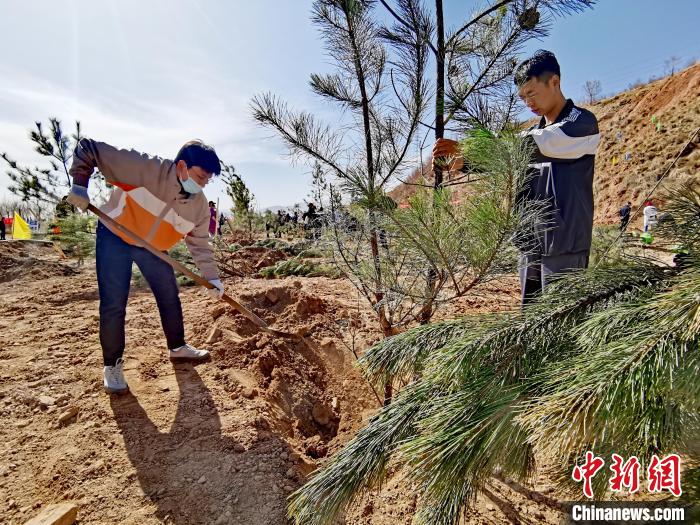 圖為西寧市城東區(qū)義務(wù)植樹活動(dòng)現(xiàn)場(chǎng)?！?zhí)砀?攝