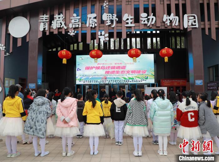 圖為青海省西寧市開展第42屆“愛鳥周”科普宣傳活動?！●R銘言 攝