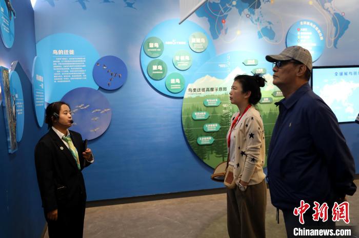 圖為臺商在祁連山國家公園生態(tài)科普館內(nèi)聆聽講解?！⊙Φ?攝