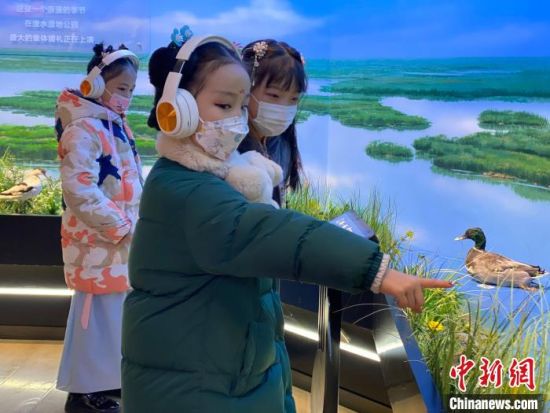圖為學(xué)生在西寧市第一中學(xué)濕地科普宣教館內(nèi)參觀?！±罱瓕?攝