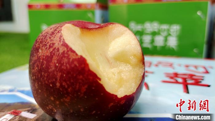 圖為通麥村特色甜心蘋果。　貢桑拉姆 攝