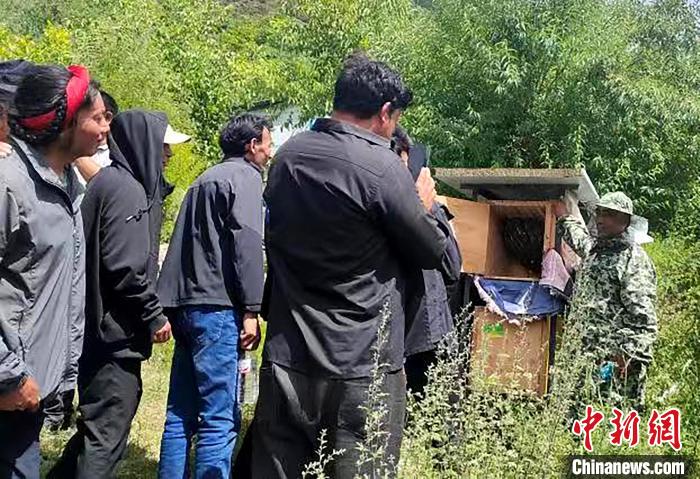 拉久西村村民學習養(yǎng)蜂工作流程和防范事項?！〔际忻⒖悼h委宣傳部供圖