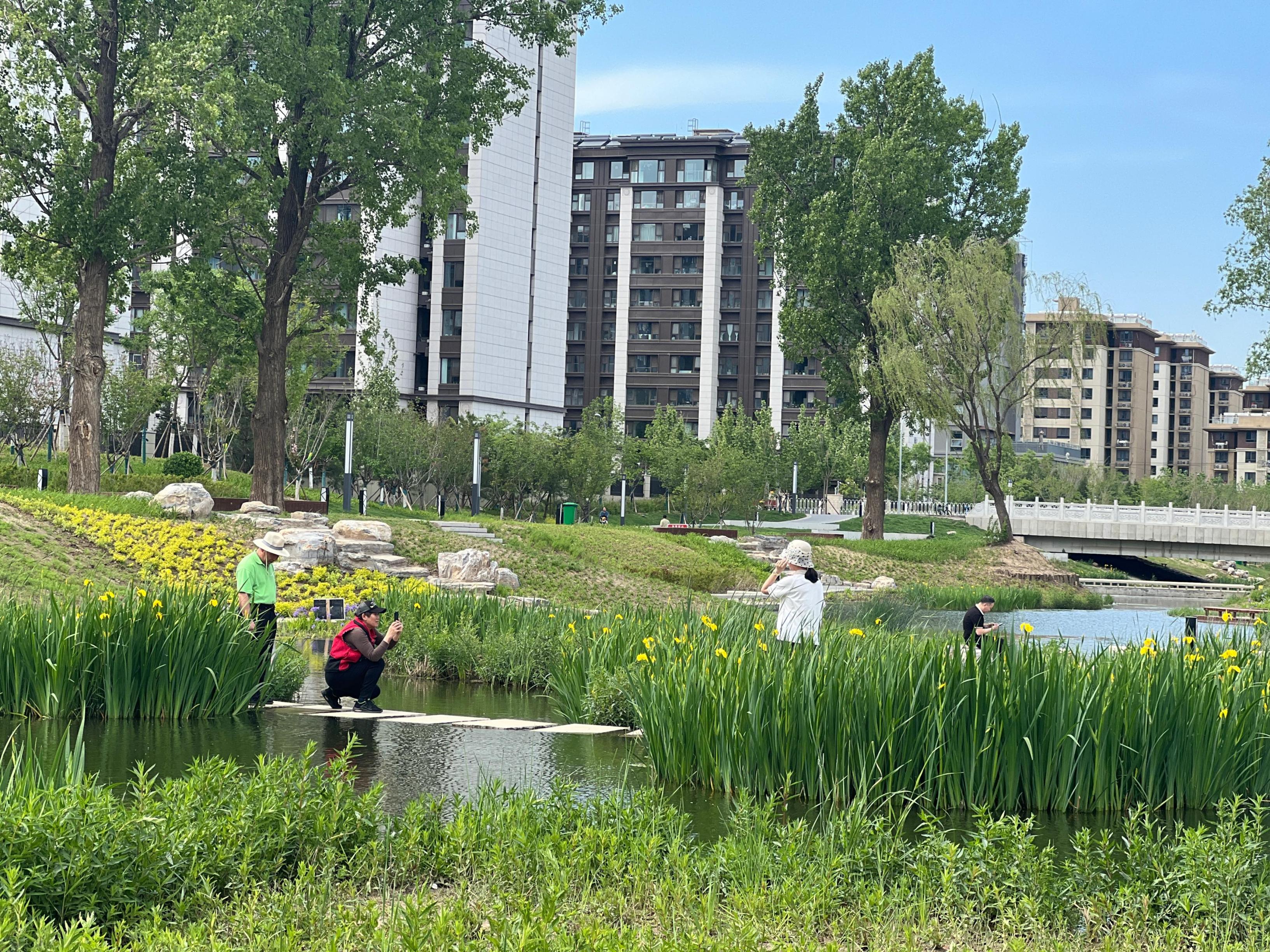 五一渠生態(tài)濱河公園內(nèi)，市民正在拍照留念。人民網(wǎng) 歐陽易佳攝