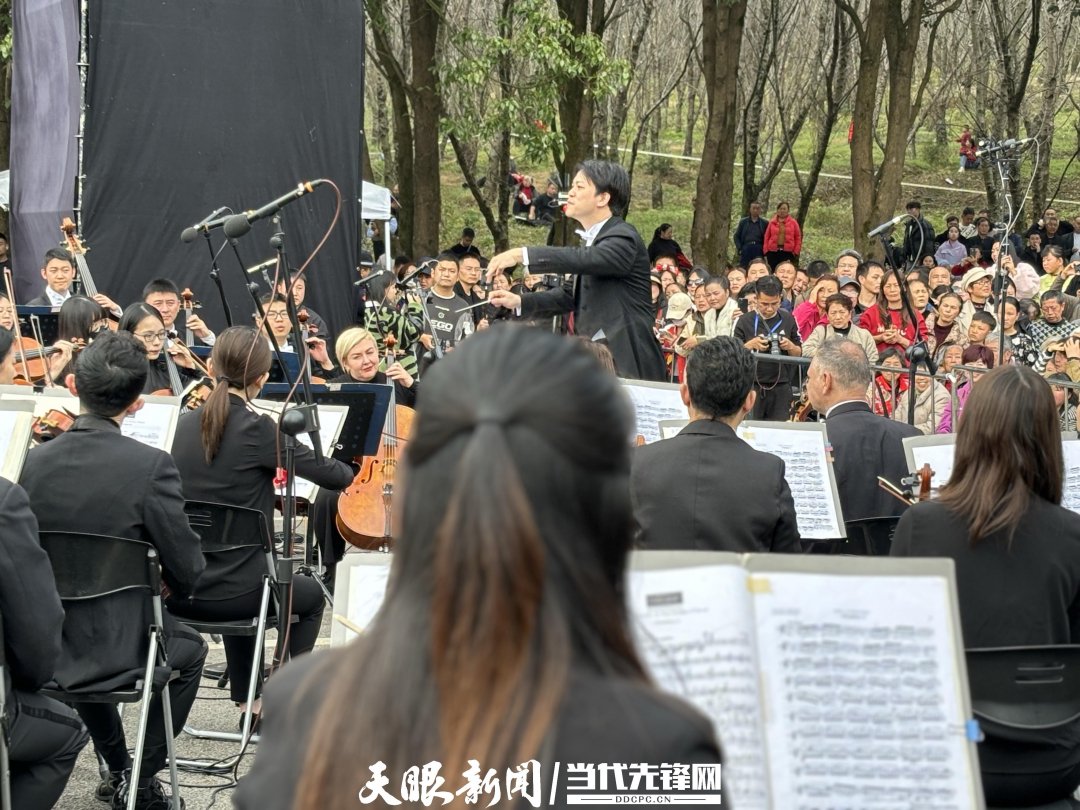 貴陽(yáng)路邊音樂(lè)會(huì)·貴安櫻花園專(zhuān)場(chǎng)交響樂(lè)現(xiàn)場(chǎng)。丁亞 文丹 攝