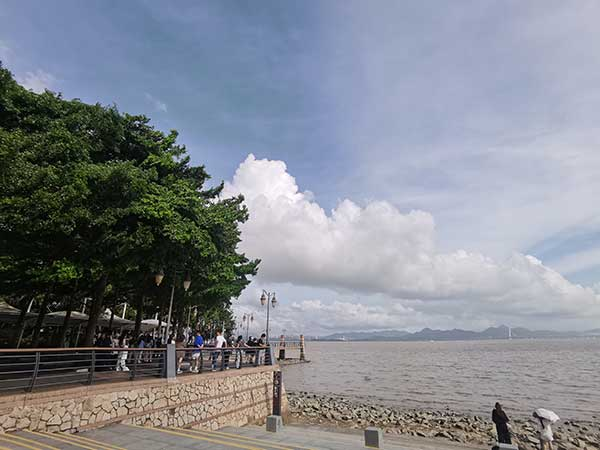 紅樹(shù)林灘涂沿線一角。人民網(wǎng)記者 張素玲攝