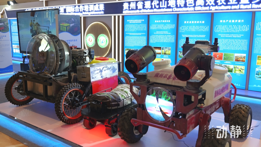 展示成果分享經(jīng)驗(yàn)，中國(guó)—東盟教育交流周深化合作共創(chuàng)未來(lái)！