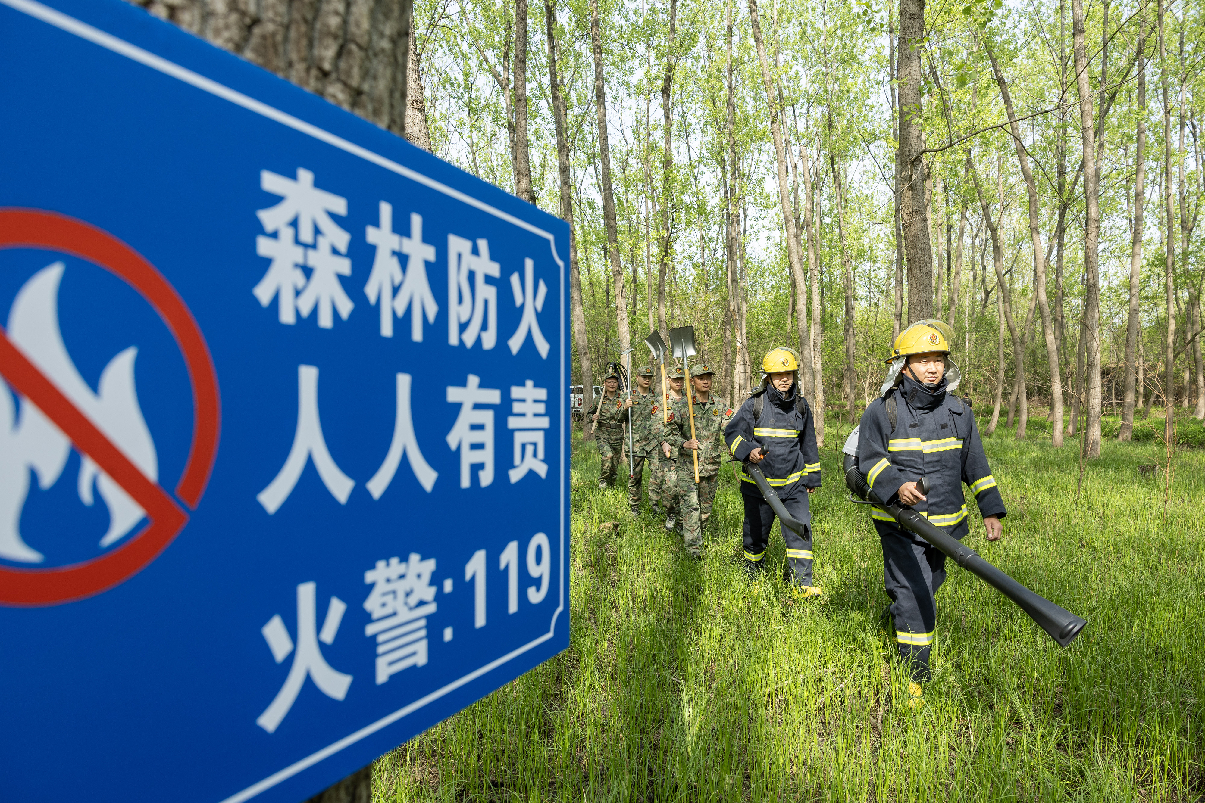 2024年4月9日，合肥市大房郢水庫水源保護(hù)地廬陽經(jīng)濟(jì)開發(fā)區(qū)段，基干民兵正在林間巡查火災(zāi)隱患。