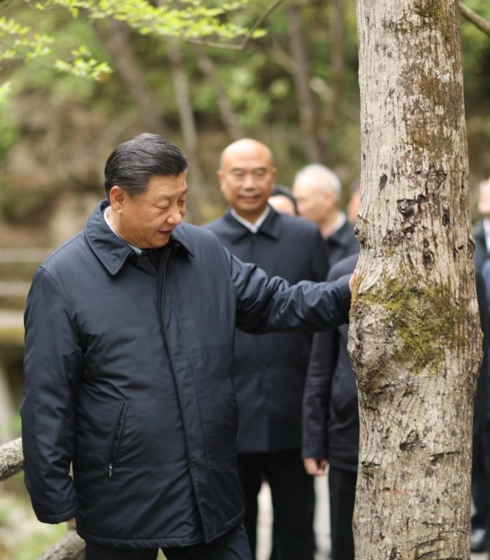 2020年4月20日，中共中央總書記、國(guó)家主席、中央軍委主席習(xí)近平在陜西考察調(diào)研。這是習(xí)近平在位于商洛市柞水縣的秦嶺牛背梁國(guó)家級(jí)自然保護(hù)區(qū)，考察秦嶺生態(tài)保護(hù)情況。 新華社記者 鞠鵬 攝
