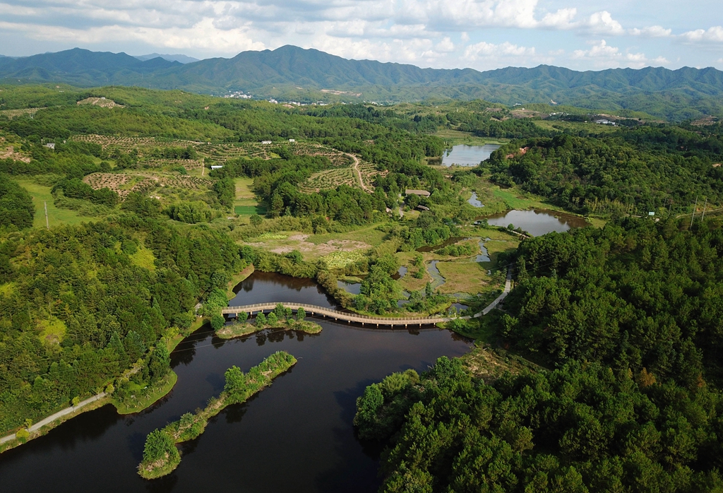 福建省龍巖市長(zhǎng)汀縣的長(zhǎng)汀汀江國(guó)家濕地公園景色（2020年7月28日攝，無(wú)人機(jī)照片）。新華社記者 魏培全 攝