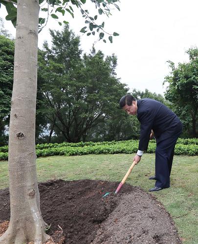 2012年12月7日至11日，習(xí)近平在廣東省考察工作。這是8日上午，習(xí)近平在深圳蓮花山公園種下一棵高山榕樹。新華社記者 蘭紅光 攝