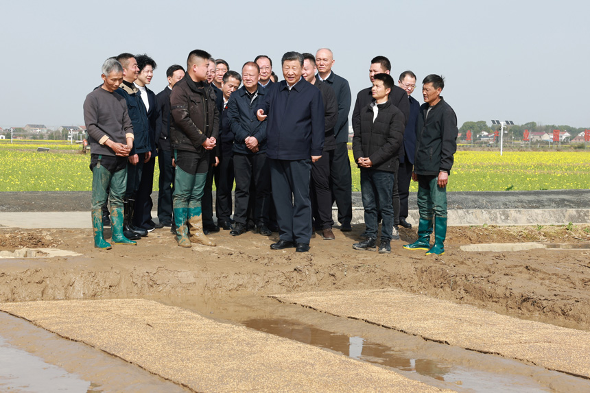2024年3月18日至21日，中共中央總書(shū)記、國(guó)家主席、中央軍委主席習(xí)近平在湖南考察。這是19日下午，習(xí)近平在常德市鼎城區(qū)謝家鋪鎮(zhèn)港中坪村走進(jìn)田間，察看秧苗培育和春耕備耕進(jìn)展。新華社記者 王曄 攝