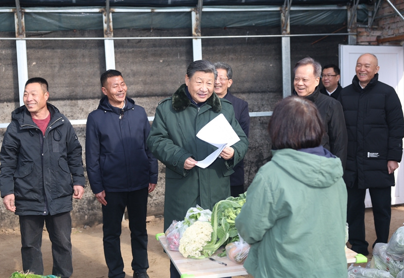 2024年2月1日，習(xí)近平總書記在天津市西青區(qū)辛口鎮(zhèn)第六埠村，走進(jìn)大棚同菜農(nóng)親切交流。