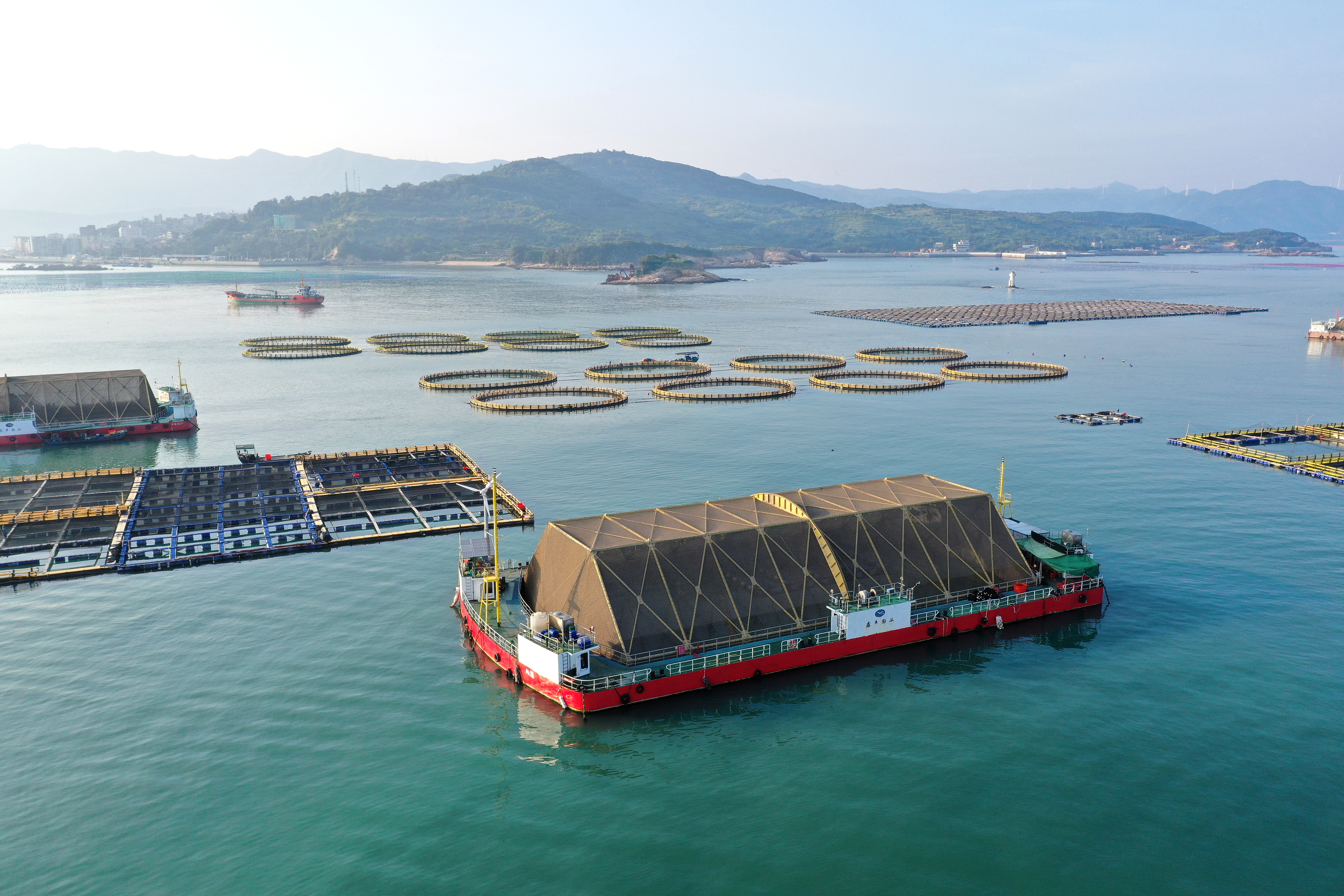 2024年9月10日拍攝的福建省福州市連江縣定海灣海域的現(xiàn)代化“海上糧倉”。