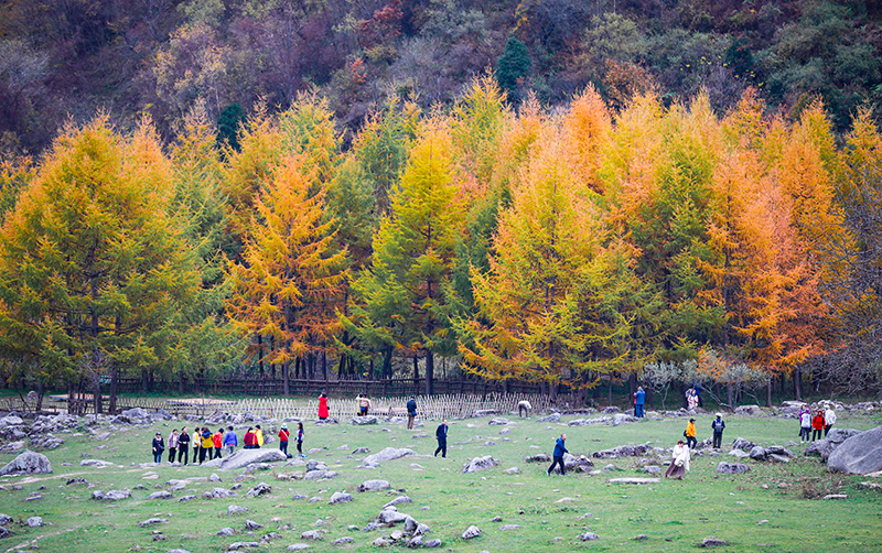 2023年10月27日，深秋時(shí)節(jié)的陜西秦嶺太子嶺漫山紅黃、色彩交織，進(jìn)入最佳觀賞期。