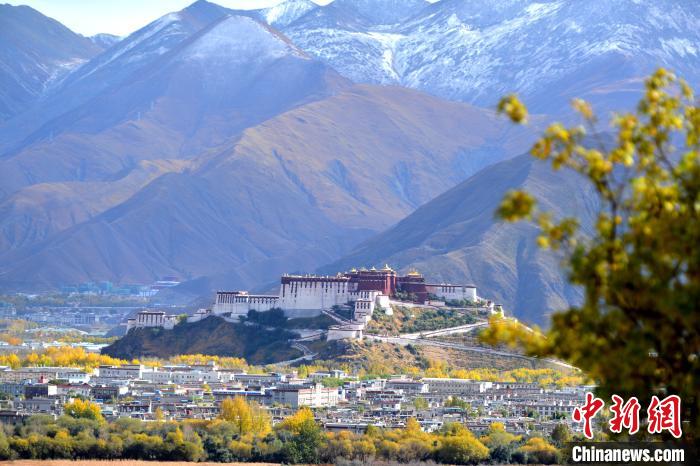 10月24日，雪山、布達(dá)拉宮和秋色組成“風(fēng)景畫”?！〗w波 攝