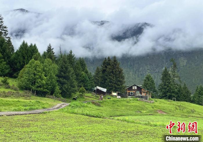 6月10日，魯朗小鎮(zhèn)高山牧場景區(qū)風(fēng)光。　冉文娟 攝