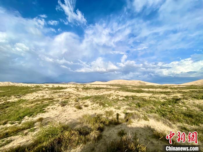 圖為關(guān)停四年后的沙島景區(qū)現(xiàn)狀?！±罱瓕?攝