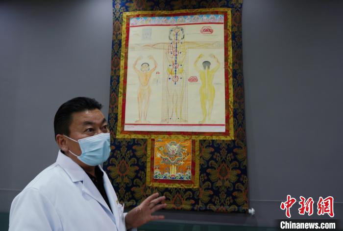 圖為興?？h藏醫(yī)院院長(zhǎng)介紹藏醫(yī)四部醫(yī)典詳實(shí)圖?！●R銘言 攝