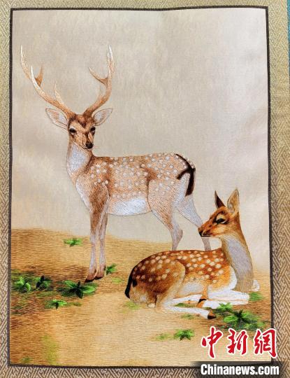 圖為藏繡作品?！∑钤鲚?攝