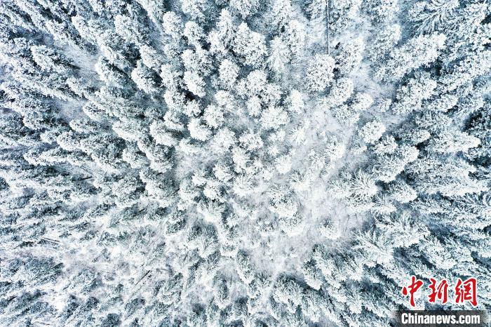壤塘的雪后美景?！∪捞量h融媒體中心供圖