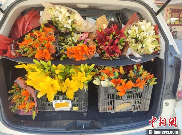 剛剛采摘下來的百合花?！∪捞量h委宣傳部供圖