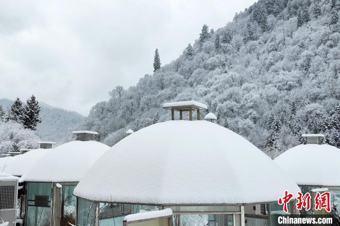 大熊貓國家公園王朗片區(qū)春雪如畫，宛若仙境?！×_春平 攝