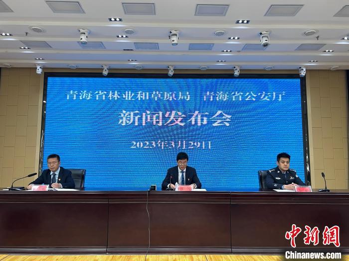青海去年占用林地、草地準(zhǔn)予許可件同比實現(xiàn)“雙減”
