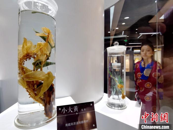 青海中藏醫(yī)藥發(fā)展提速：建設一批重點?？茖W科，推廣一批適宜技術