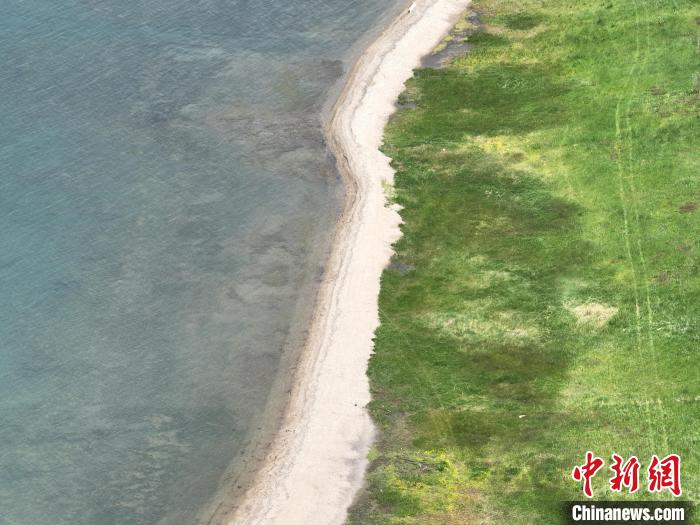 圖為航拍仲夏時(shí)節(jié)，青海湖畔綠茵如毯?！∑钤鲚?攝
