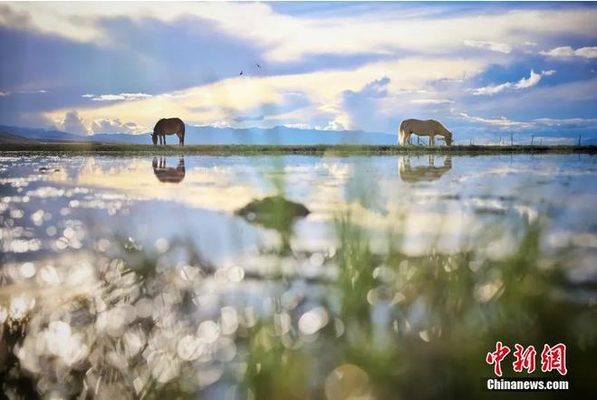 資料圖：那曲市申扎縣境內(nèi)的濕地。李雪峰 攝