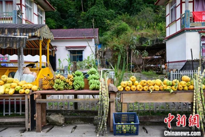 墨脫公路沿線，百姓擺攤銷售當?shù)匚锂a(chǎn)，包含香蕉、甘蔗、檸檬等。(<a target='_blank' href='/'><p  align=