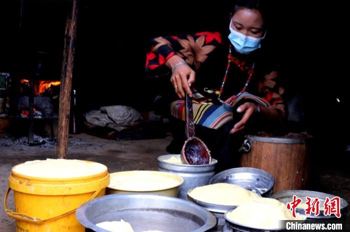 圖為牧民正在制作酥油?！∪湛t文聯(lián)供圖