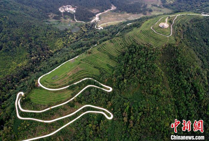 圖為西藏林芝市墨脫縣背崩鄉(xiāng)格林村山頂?shù)木坝^茶園。(無人機照片) 李林 攝