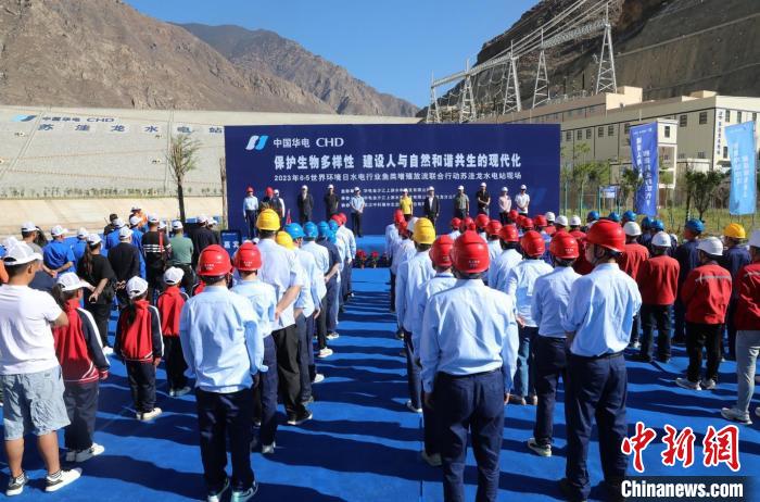 圖為蘇洼龍水電站魚類放流現(xiàn)場?！√K洼龍水電站供圖