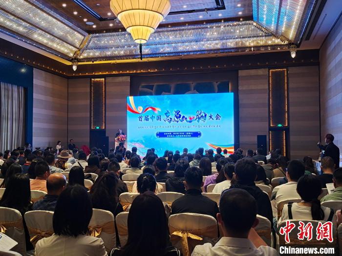 圖為首屆中國高原心胸大會(huì)現(xiàn)場?！☆D旦旺姆 攝
