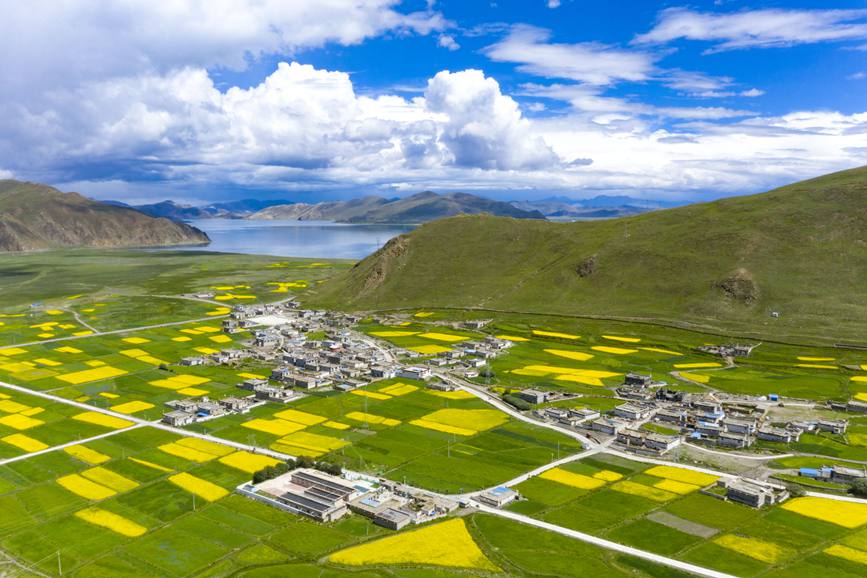 航拍道布龍村，依山傍水，阡陌縱橫。